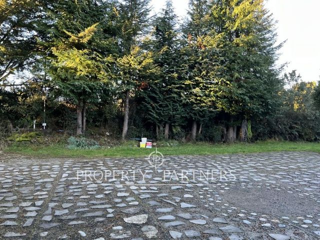 place photo 34