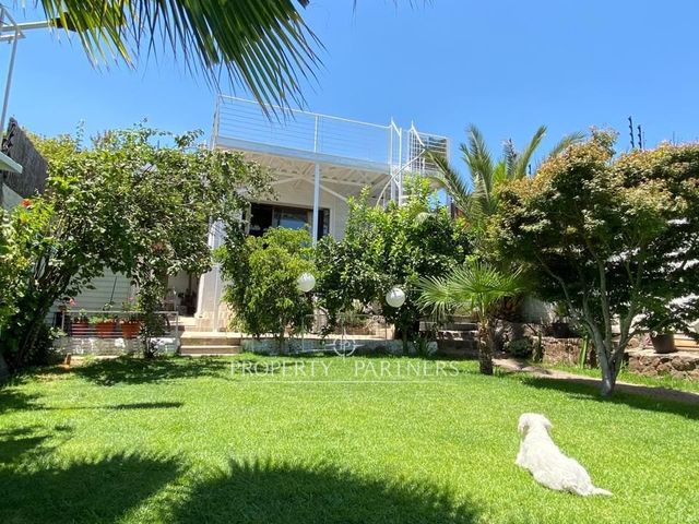 place photo 37
