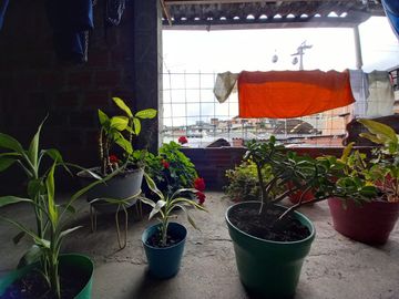 place photo 18