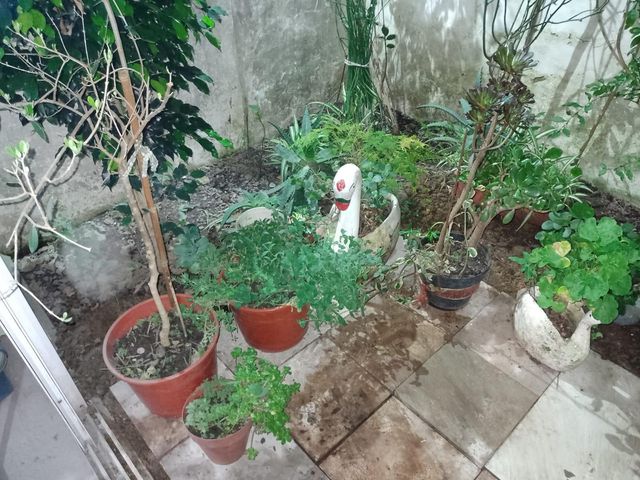 place photo 23