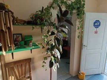 place photo 16
