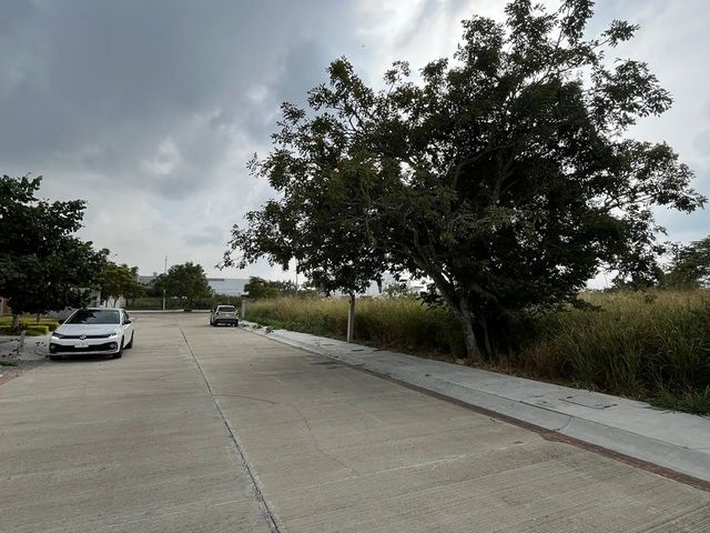 place photo 11