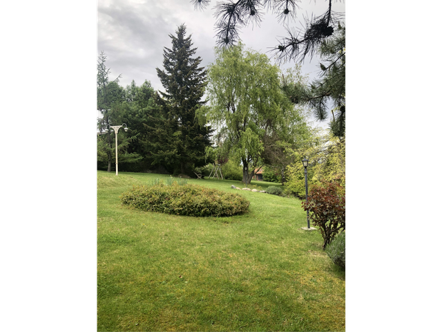 place photo 34