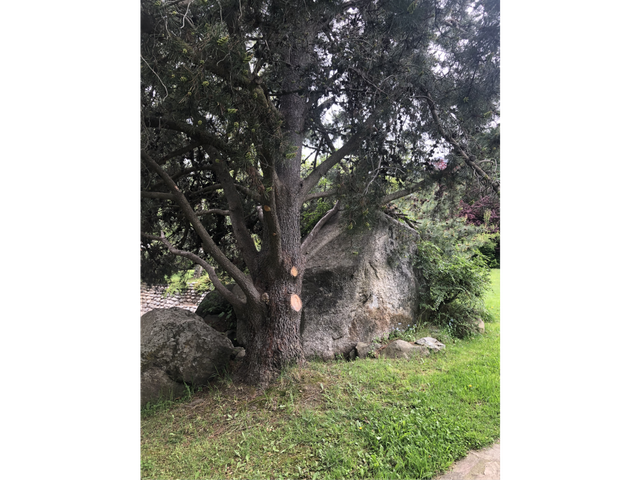 place photo 35