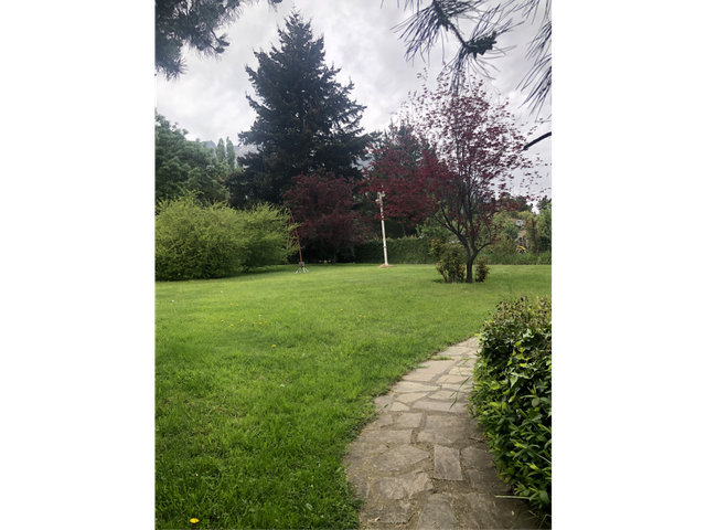 place photo 25