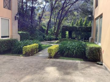 place photo 22