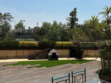 place photo 43