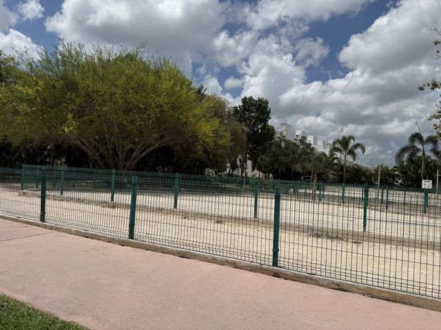 place photo 27