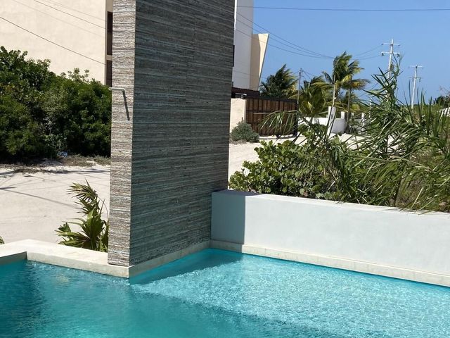 place photo 34