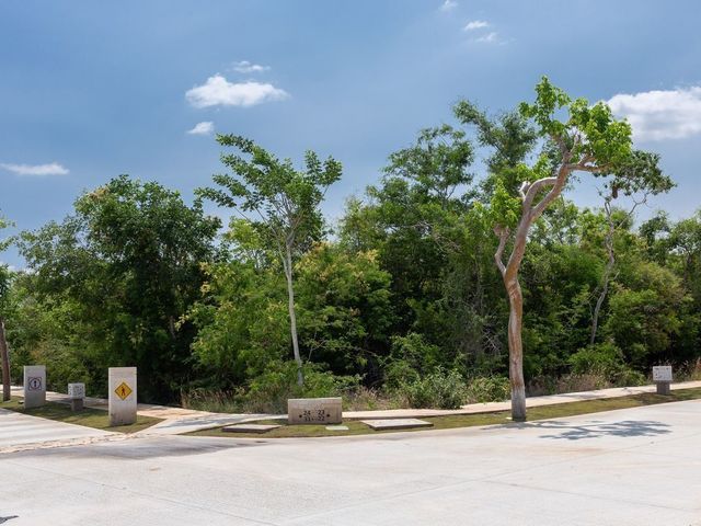 place photo 36