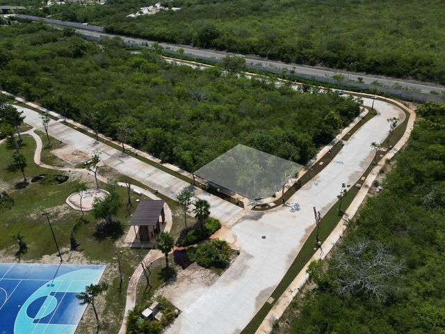 place photo 20