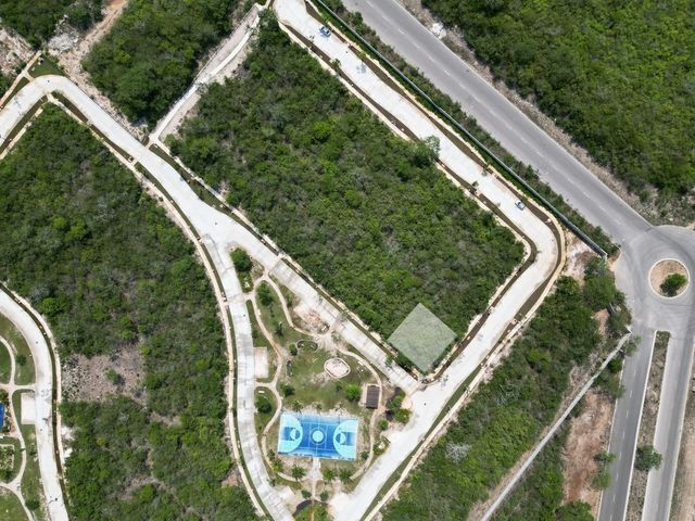 place photo 17