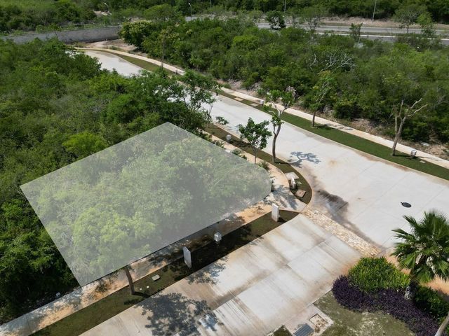 place photo 23