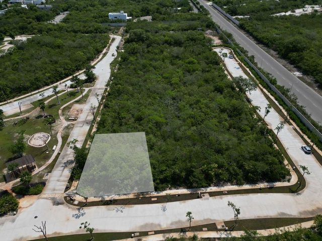 place photo 21