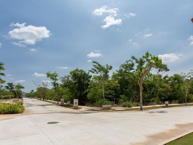 place photo 38