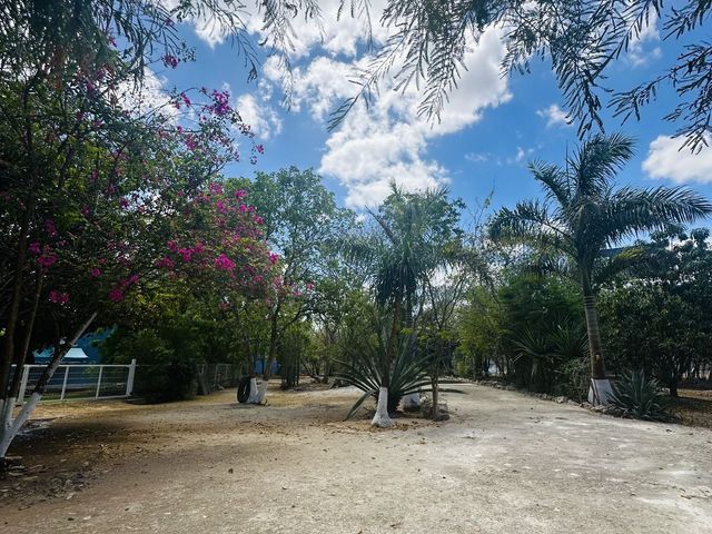 place photo 14
