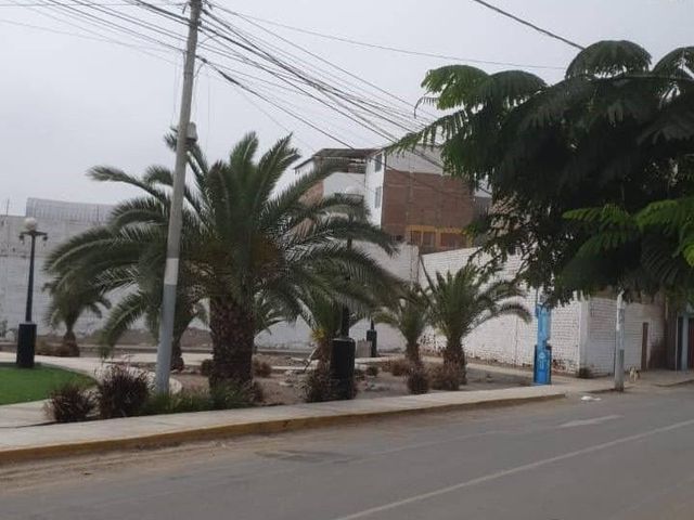 place photo 17
