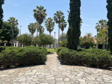 place photo 36