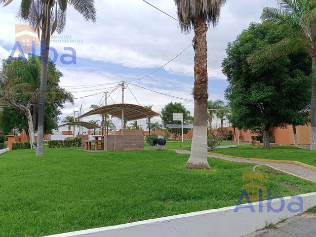 place photo 24