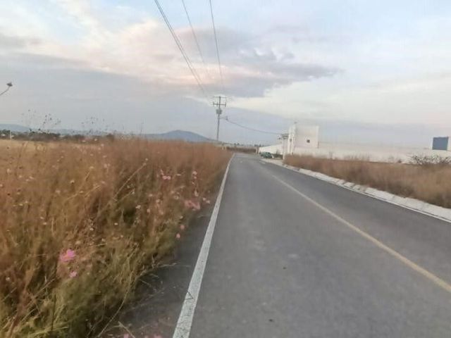 place photo 12