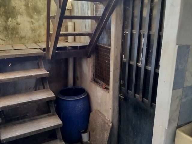 place photo 50