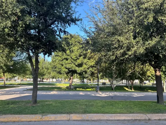 place photo 15