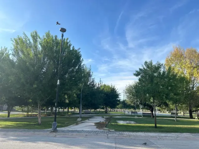 place photo 13