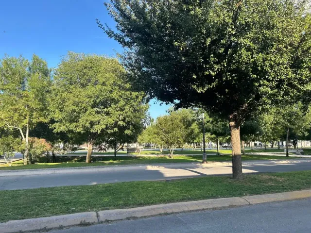 place photo 17