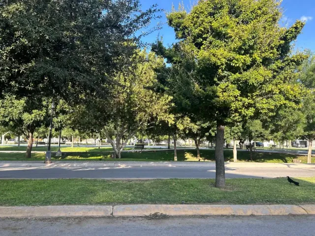 place photo 14