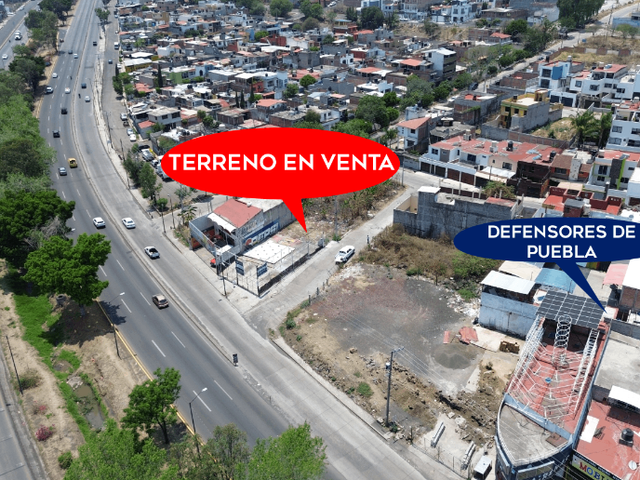 place photo 12