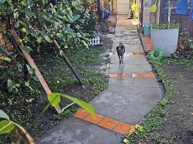 place photo 19