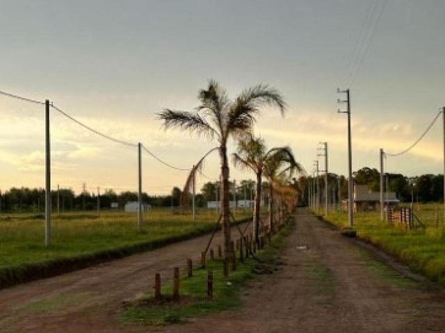 place photo 13