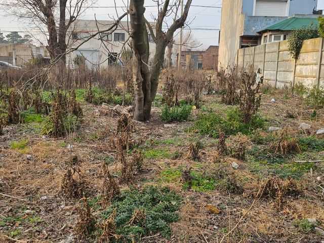 place photo 15