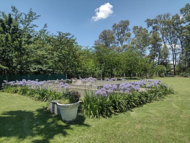 place photo 18