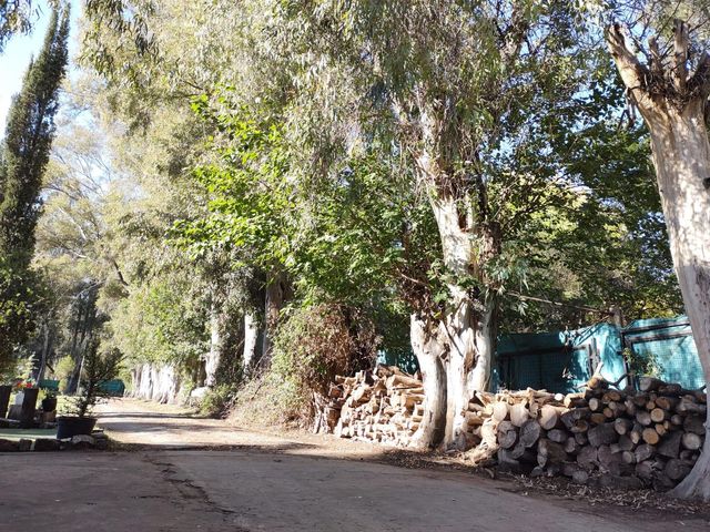 place photo 12