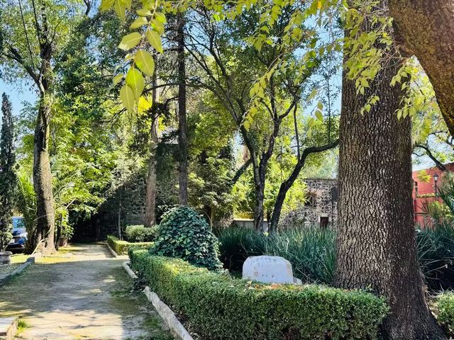place photo 31