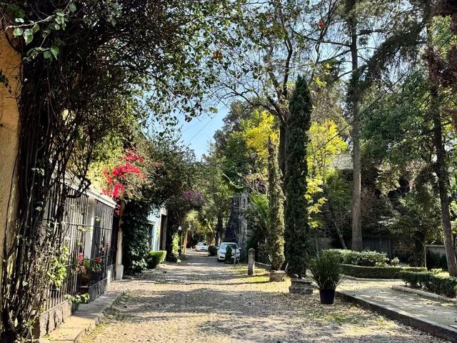 place photo 30