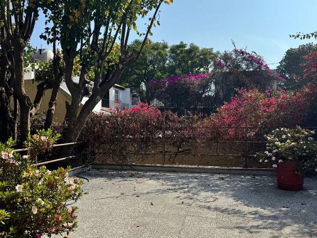 place photo 25