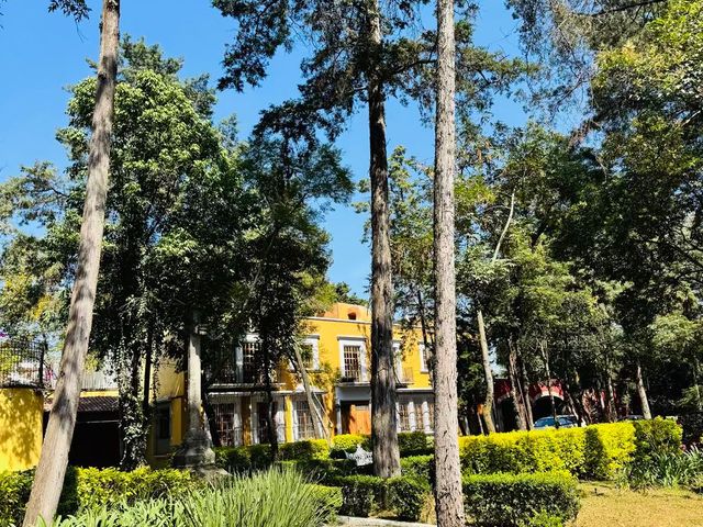 place photo 33