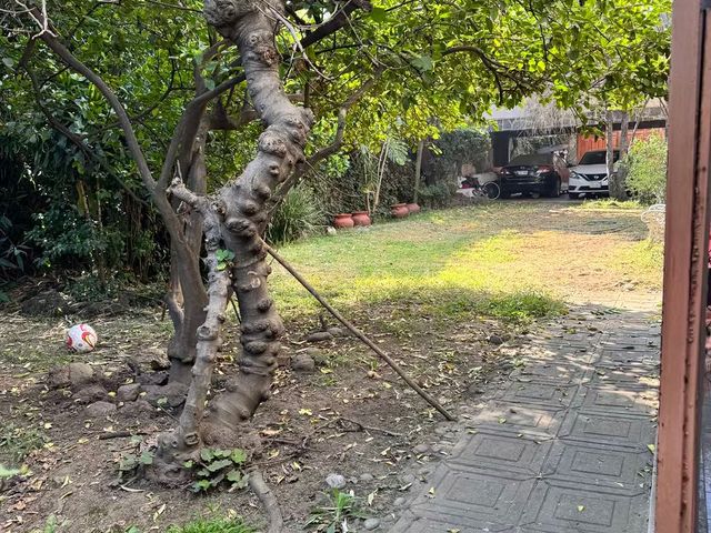 place photo 19