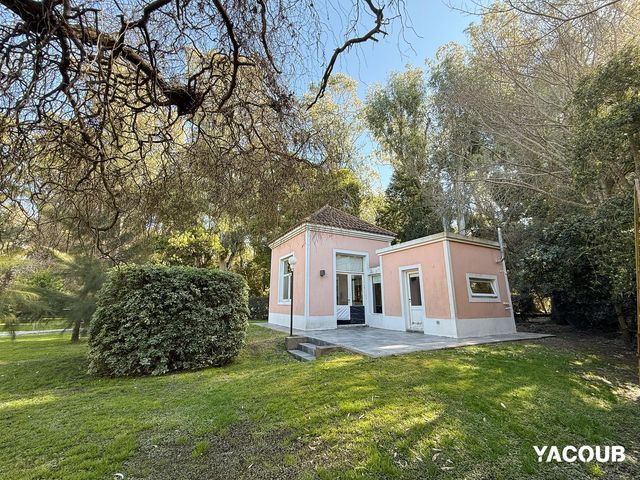 place photo 41
