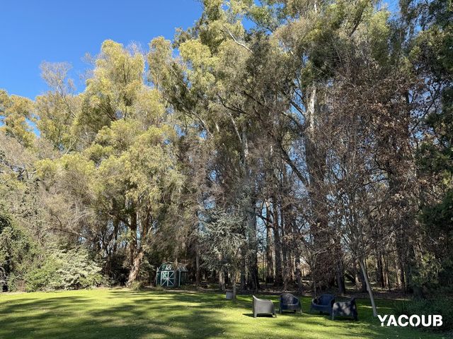 place photo 51