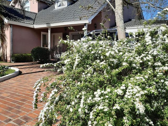 place photo 54