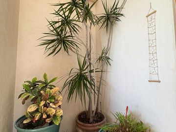 place photo 26