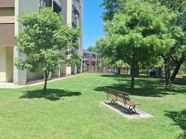 place photo 26