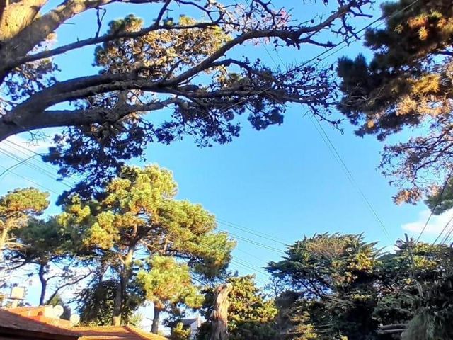 place photo 45