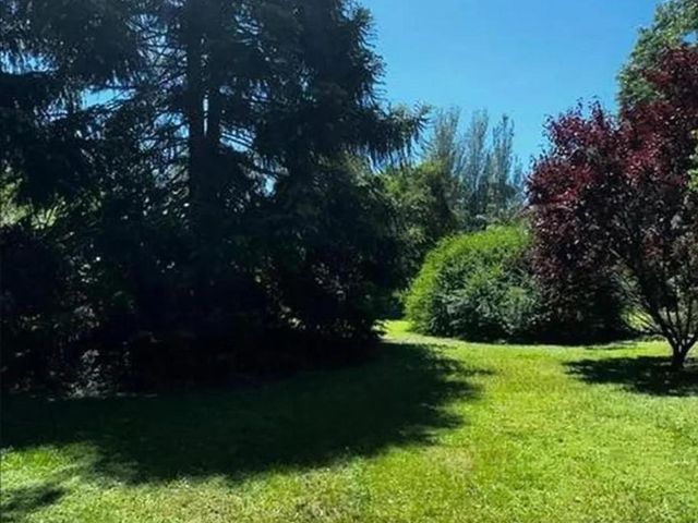 place photo 40
