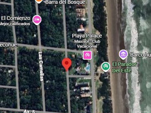 place photo 14