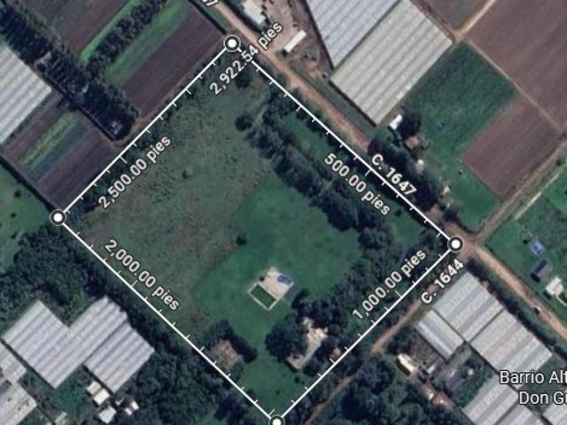 place photo 11