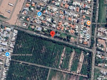 place photo 36